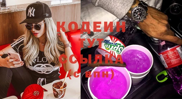 индика Вязьма