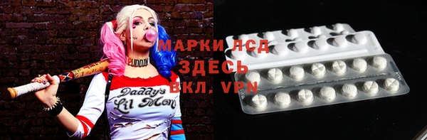 индика Вязьма