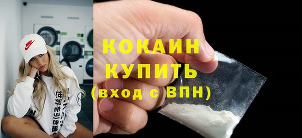 индика Вязьма