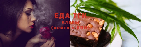 индика Вязьма