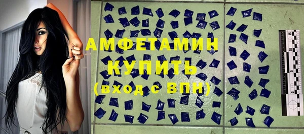индика Вязьма