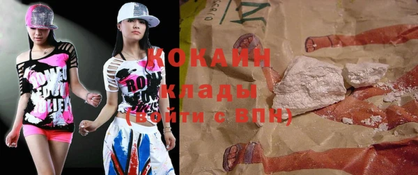 индика Вязьма