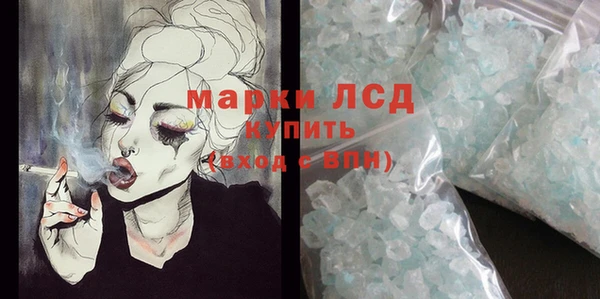 индика Вязьма