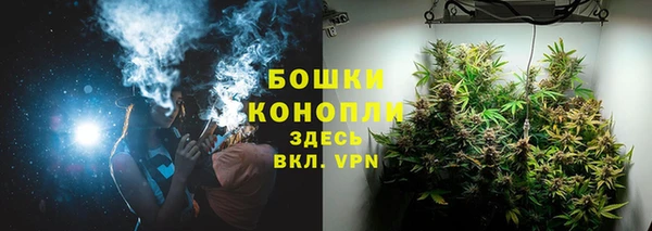 индика Вязьма
